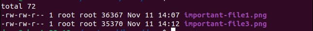Gdata - [Hướng dẫn] Sử dụng Testdisk để khôi phục File đã xóa trên Ubuntu 20.04 (9)