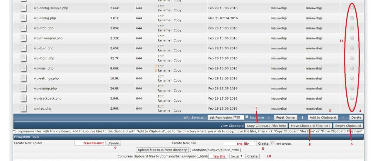 Gdata - [Hướng dẫn] Cách sử dụng host DirectAdmin cơ bản khi đăng ký dịch vụ Server tại Gdata (12)